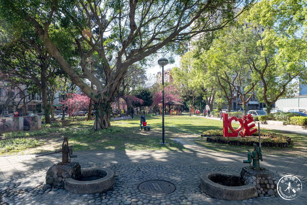 桃園中壢景點|莒光環保公園 櫻花盛開時|八重櫻花況花期.交通停車介紹