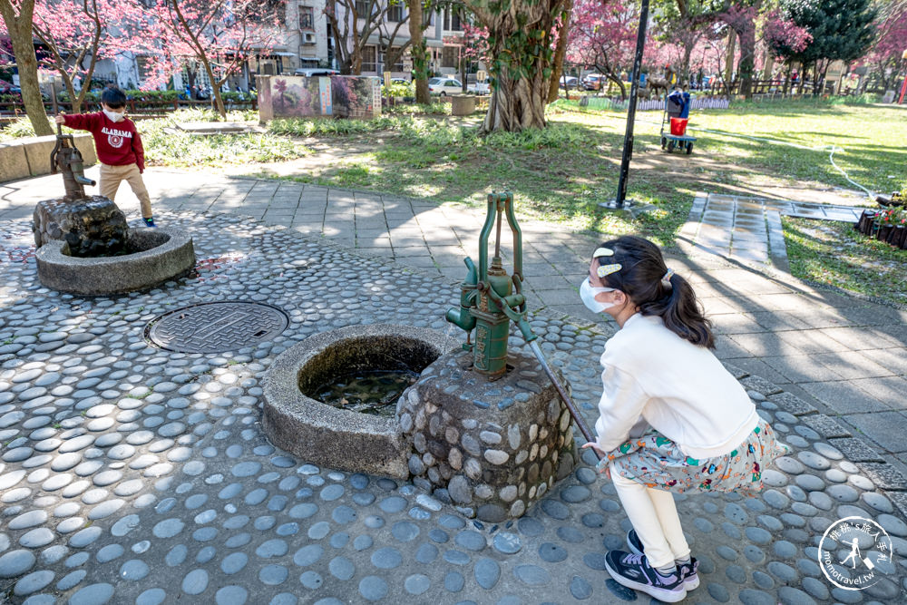 桃園中壢景點|莒光環保公園 櫻花盛開時|八重櫻花況花期.交通停車介紹