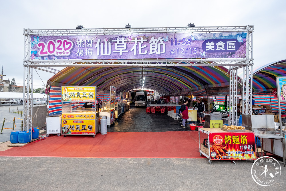 2020桃園仙草花節》楊梅仙草花海.開放時間日期.交通停車接駁車.賞花重點拍照介紹