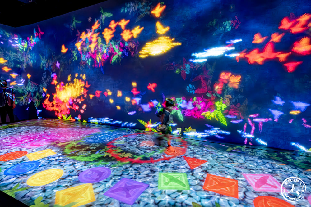 台北展覽|日本teamLab 共創！未來園－台北科教館 夢幻展出(展期.門票.周邊商品)