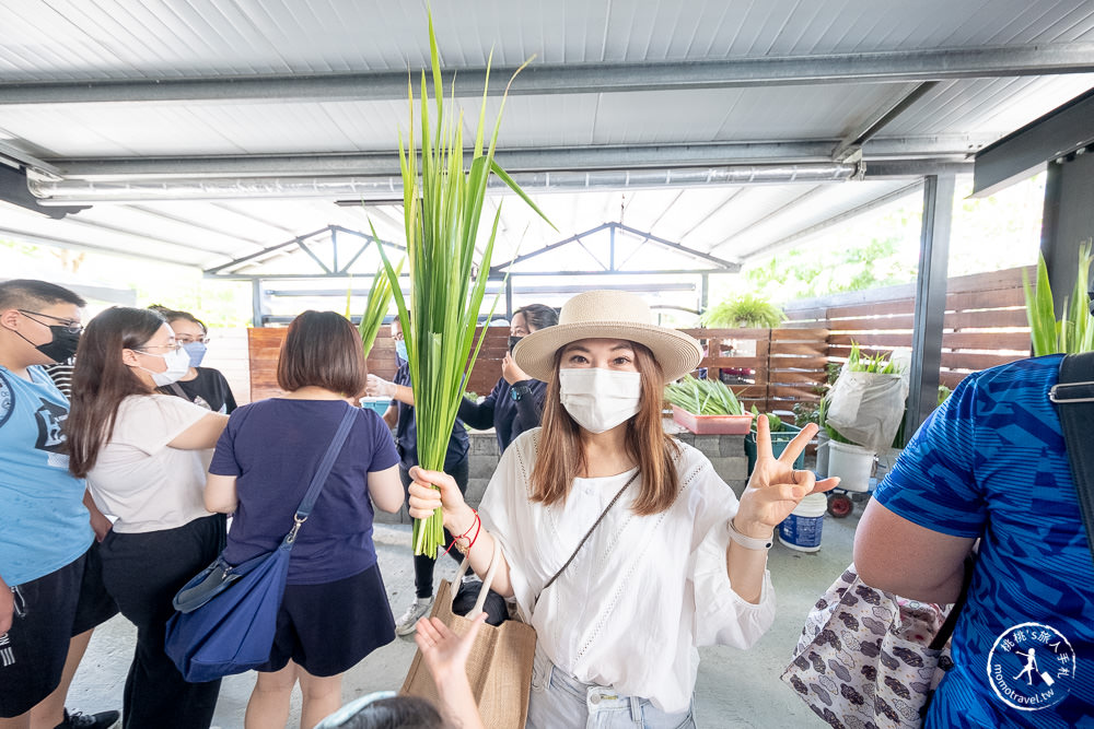 宜蘭三星親子景點|張美阿嬤農場 最新笑笑羊、小袋鼠登場|門票.預約.購票.DIY套票 一次看懂
