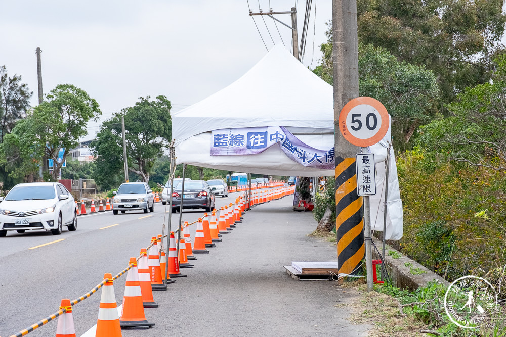 2020桃園仙草花節》楊梅仙草花海.開放時間日期.交通停車接駁車.賞花重點拍照介紹
