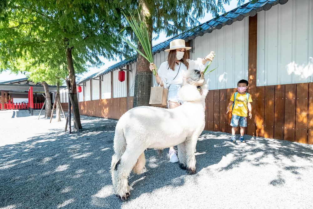 宜蘭三星親子景點|張美阿嬤農場 最新笑笑羊、小袋鼠登場|門票.預約.購票.DIY套票 一次看懂