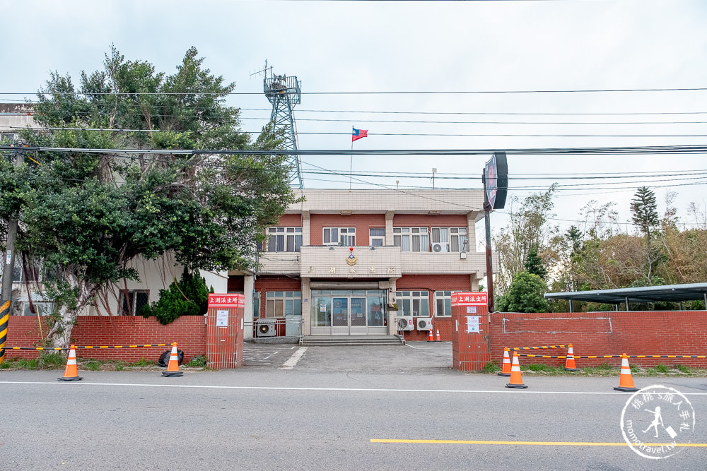 2020桃園仙草花節》楊梅仙草花海.開放時間日期.交通停車接駁車.賞花重點拍照介紹