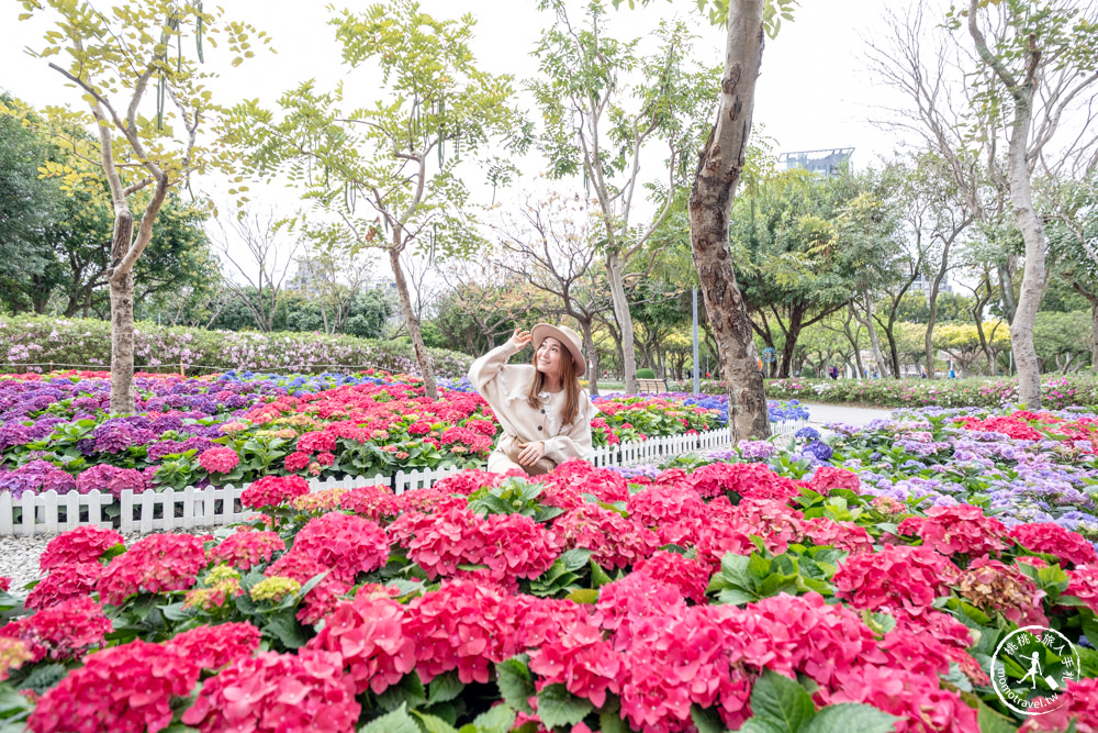 台北大安景點|大安森林公園繡球花季|市區賞花推薦景點.搭捷運就能到.最新花況.活動時間介紹