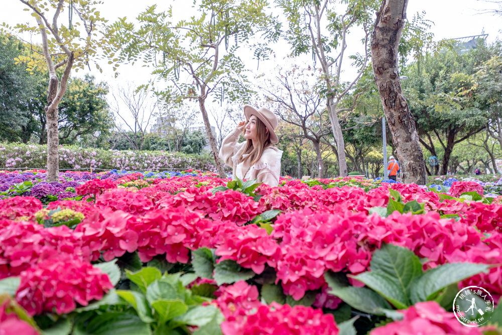 台北大安景點|大安森林公園繡球花季|市區賞花推薦景點.搭捷運就能到.最新花況.活動時間介紹