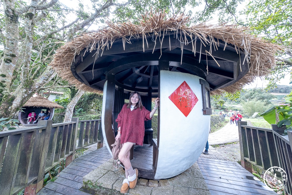 台北景點|貓空魯冰花海(免門票)樟樹步道藏金色花田+櫻花秘境