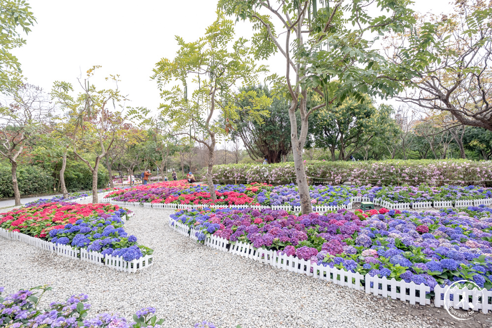 台北大安景點|大安森林公園繡球花季|市區賞花推薦景點.搭捷運就能到.最新花況.活動時間介紹