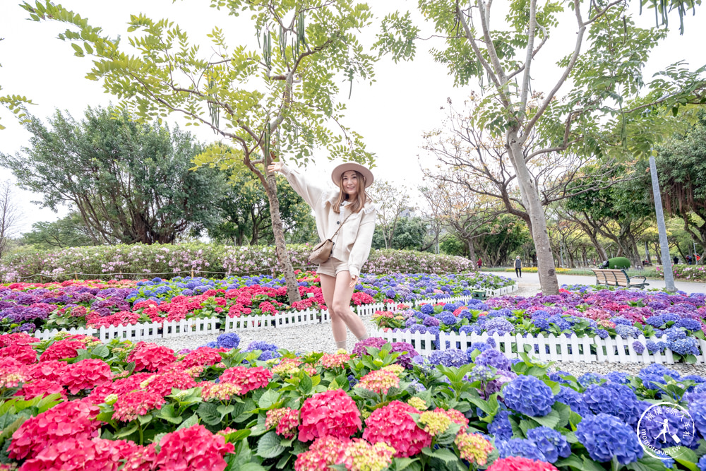 台北大安景點|大安森林公園繡球花季|市區賞花推薦景點.搭捷運就能到.最新花況.活動時間介紹