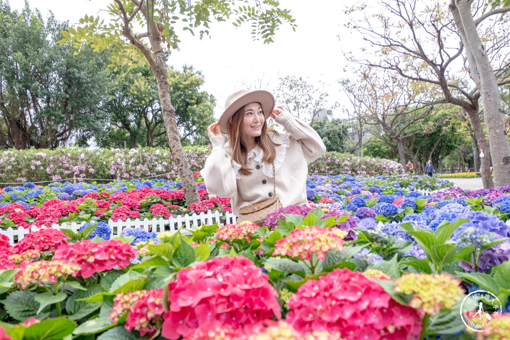 台北大安景點|大安森林公園繡球花季|市區賞花推薦景點.搭捷運就能到.最新花況.活動時間介紹