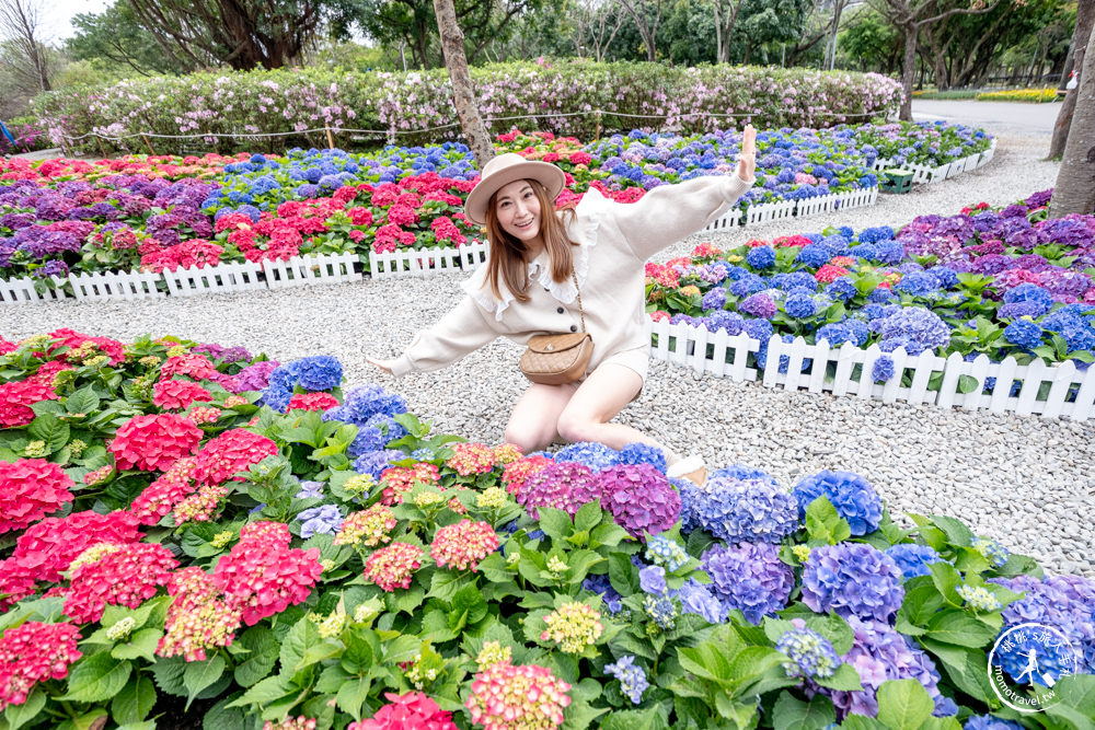 台北大安景點|大安森林公園繡球花季|市區賞花推薦景點.搭捷運就能到.最新花況.活動時間介紹