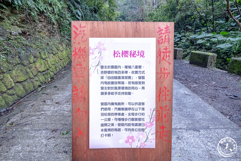 宜蘭冬山景點|松櫻秘境-櫻花樹下露營-超佛免費開放賞櫻|最新賞櫻花況.停車資訊.賞花拍照點介紹