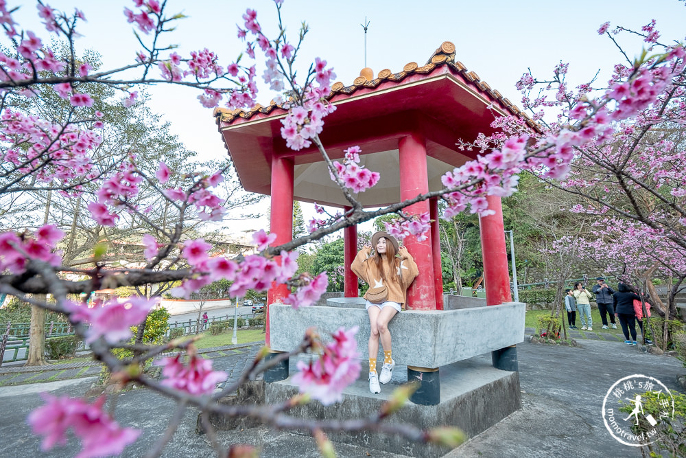 台北賞櫻景點》新店烏來屈尺櫻花公園-2021最新花況│花見亭絕美賞櫻點公開！