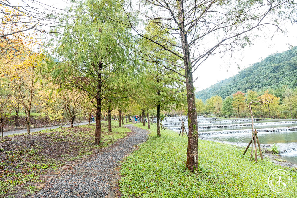 宜蘭礁溪景點|三層坪水土保持農塘教育園區-階梯瀑布+水漾落羽松|何時開放.如何預約.詳細介紹