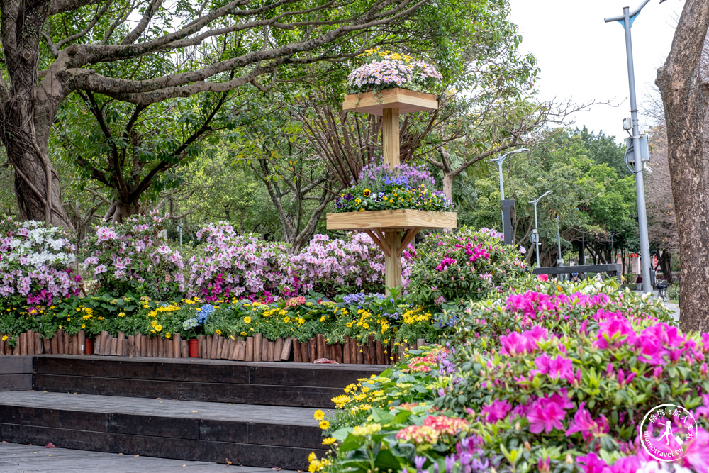 台北大安景點|大安森林公園杜鵑花季|市區賞花推薦景點.搭捷運就能到.最新花況.活動時間介紹