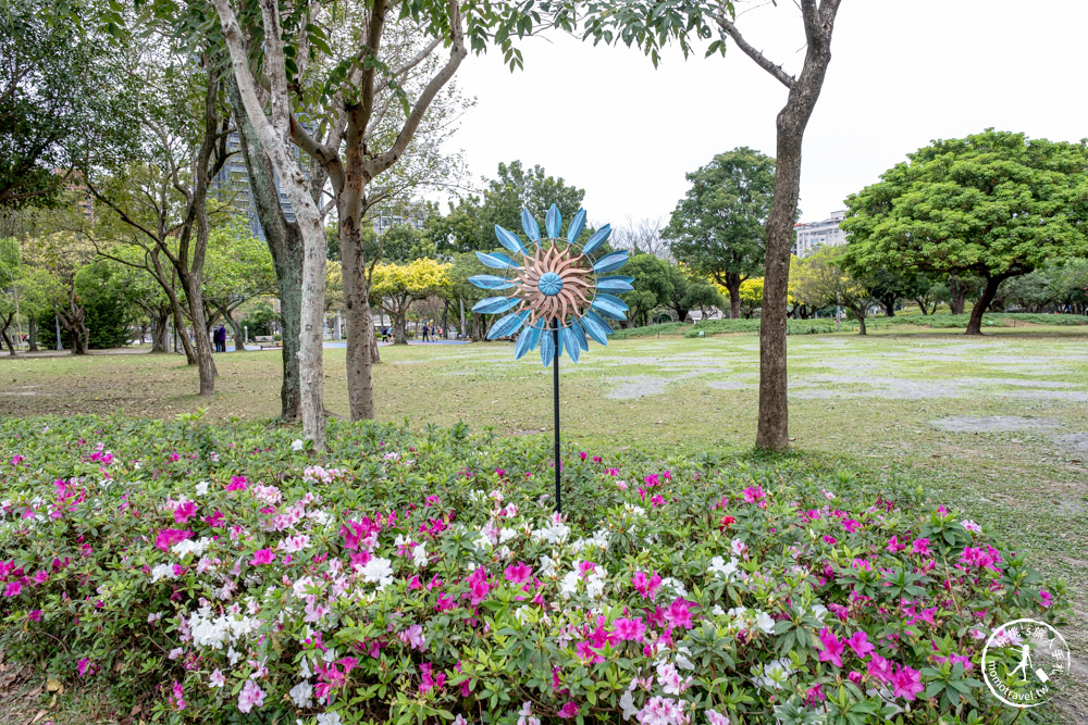 台北大安景點|大安森林公園杜鵑花季|市區賞花推薦景點.搭捷運就能到.最新花況.活動時間介紹