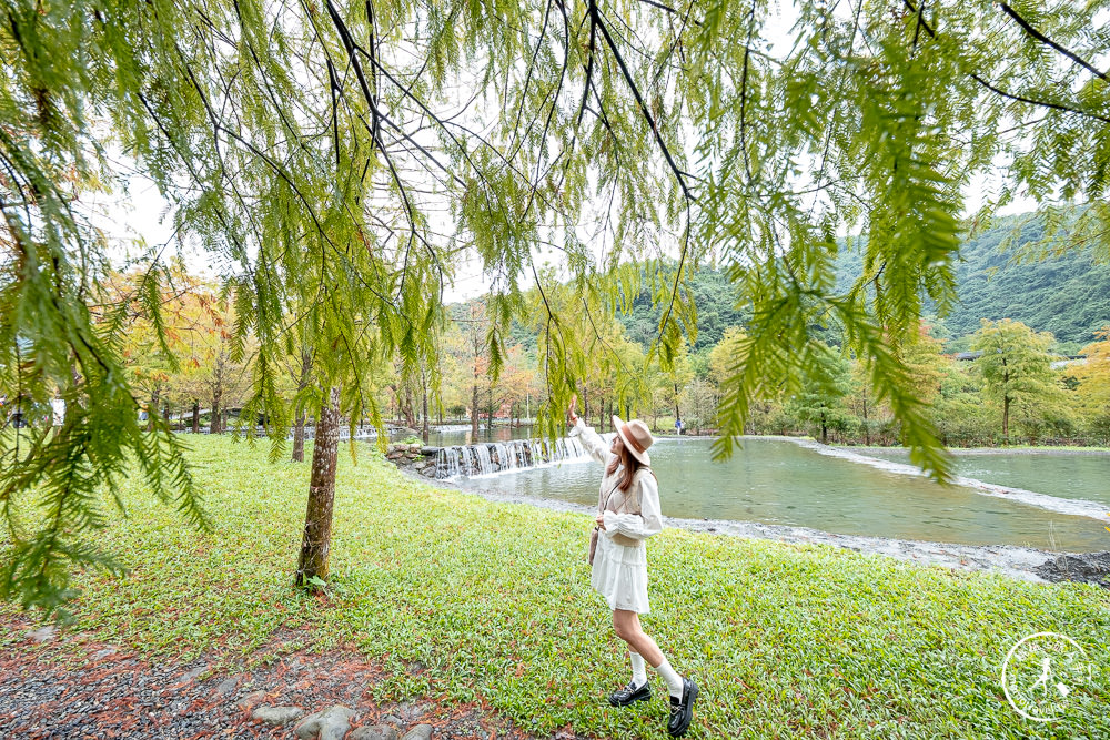 宜蘭礁溪景點|三層坪水土保持農塘教育園區-階梯瀑布+水漾落羽松|何時開放.如何預約.詳細介紹