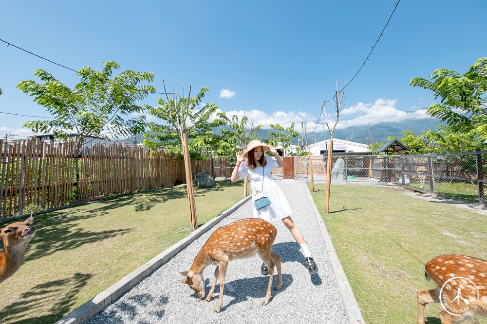 花蓮吉安景點|張家の樹園(張家的樹園)|免費和服浴衣逛日式庭園・還有可愛動物好療癒 (營業時間.交通停車.門票資訊)