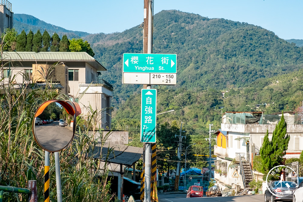 台北賞櫻景點》新店烏來屈尺櫻花公園-2021最新花況│花見亭絕美賞櫻點公開！