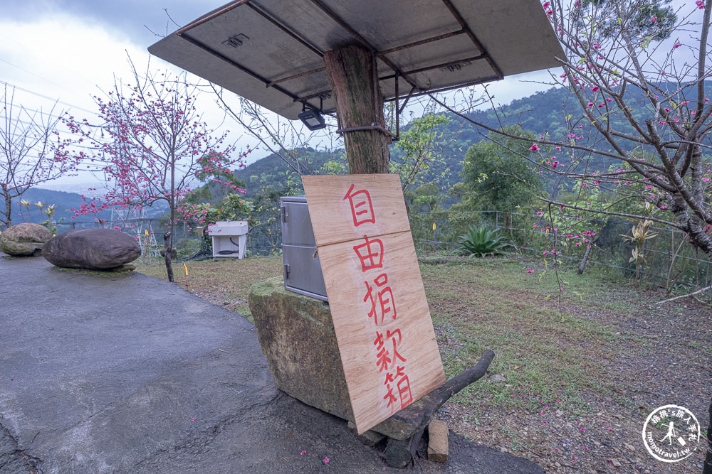 宜蘭冬山景點|松櫻秘境-櫻花樹下露營-超佛免費開放賞櫻|最新賞櫻花況.停車資訊.賞花拍照點介紹
