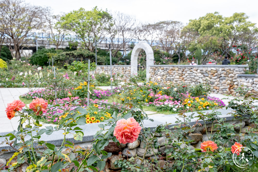 台北中山景點|2023台北玫瑰展in台北玫瑰園|花博公園新生園區 免費開放賞花|交通停車.最新花況.活動時間介紹