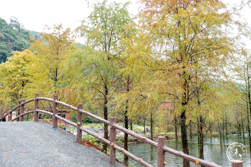 宜蘭礁溪景點|三層坪水土保持農塘教育園區-階梯瀑布+水漾落羽松|何時開放.如何預約.詳細介紹