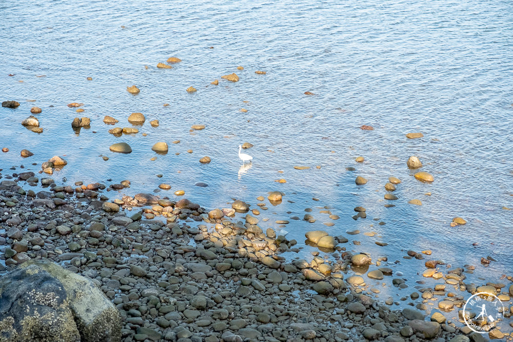 新北三芝景點》芝蘭公園海上觀景平台│北海岸最美伸展台-海上天堂路開放！