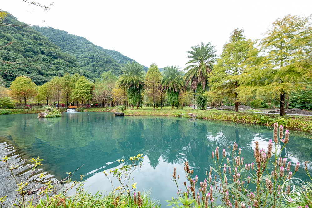 宜蘭礁溪景點|三層坪水土保持農塘教育園區-階梯瀑布+水漾落羽松|何時開放.如何預約.詳細介紹