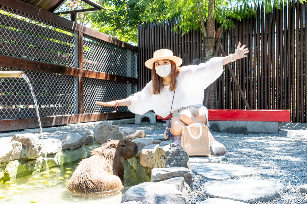 宜蘭三星親子景點|張美阿嬤農場 最新笑笑羊、小袋鼠登場|門票.預約.購票.DIY套票 一次看懂