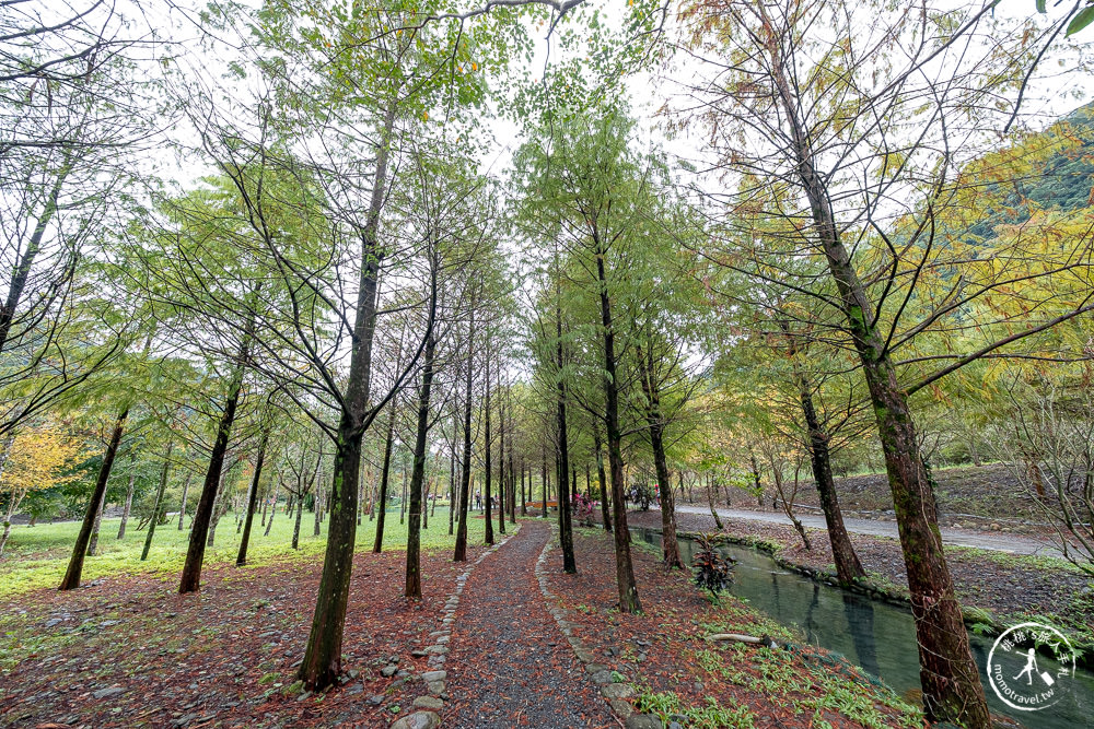 宜蘭礁溪景點|三層坪水土保持農塘教育園區-階梯瀑布+水漾落羽松|何時開放.如何預約.詳細介紹