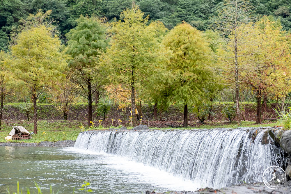 宜蘭礁溪景點|三層坪水土保持農塘教育園區-階梯瀑布+水漾落羽松|何時開放.如何預約.詳細介紹