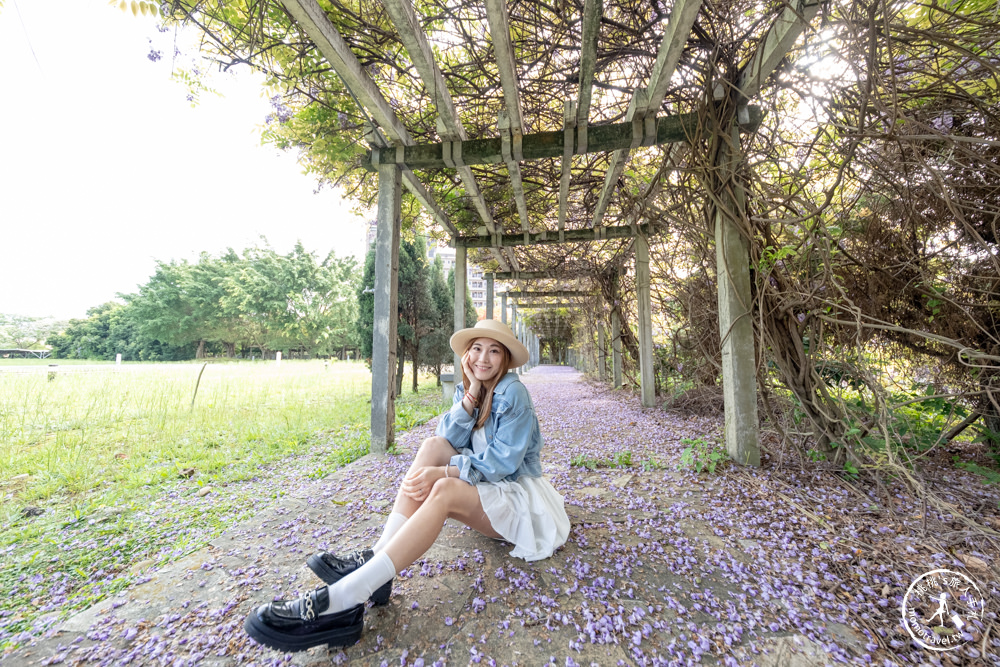 桃園蘆竹景點|開南大學紫藤花隧道|花況花期.交通停車.相關介紹