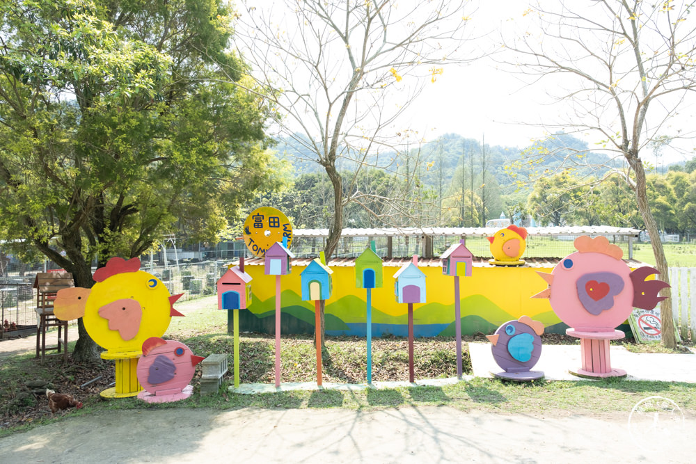 桃園大溪景點|富田花園農場|左擁右抱羊駝.笑笑羊 零距離貼貼可愛動物(營業時間.交通停車.門票資訊)