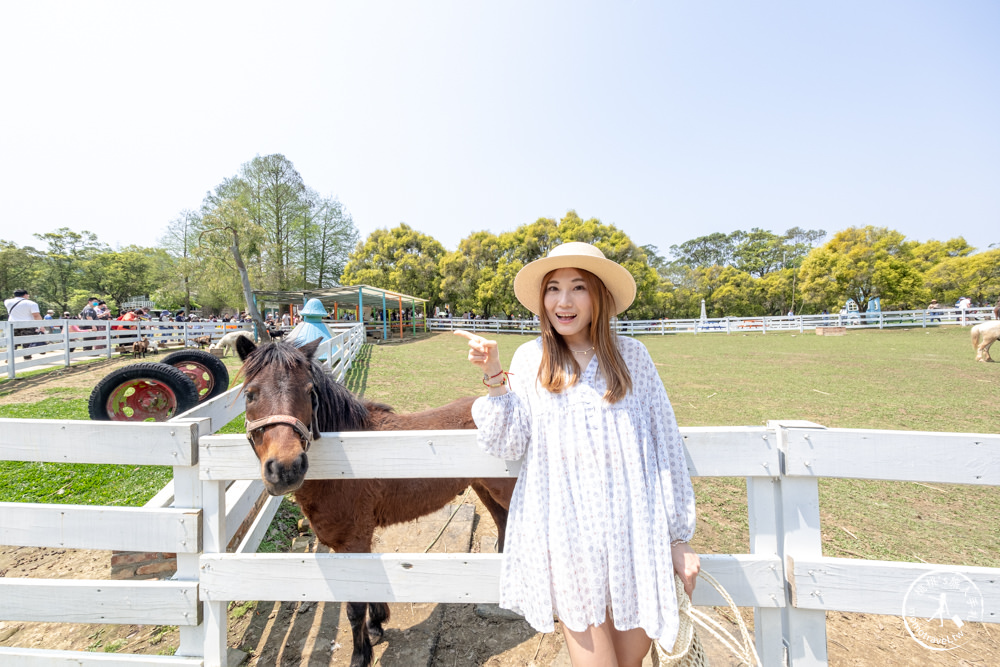 桃園大溪景點|富田花園農場|左擁右抱羊駝.笑笑羊 零距離貼貼可愛動物(營業時間.交通停車.門票資訊)