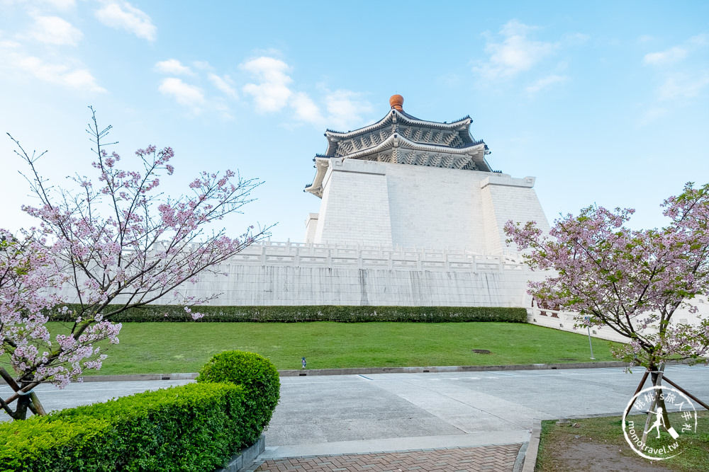 台北賞櫻景點》中正紀念堂櫻花-2021最新花況│粉紅大漁櫻+桃紅八重櫻 同時綻放 走春賞櫻去！