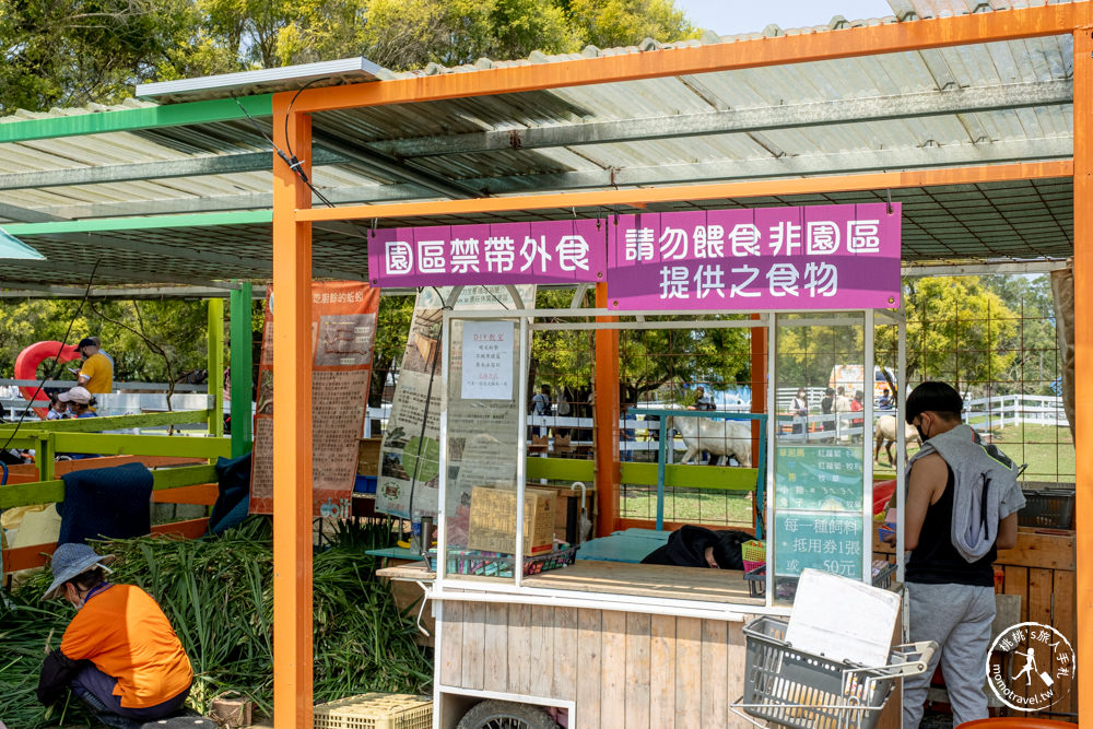 桃園大溪景點|富田花園農場|左擁右抱羊駝.笑笑羊 零距離貼貼可愛動物(營業時間.交通停車.門票資訊)