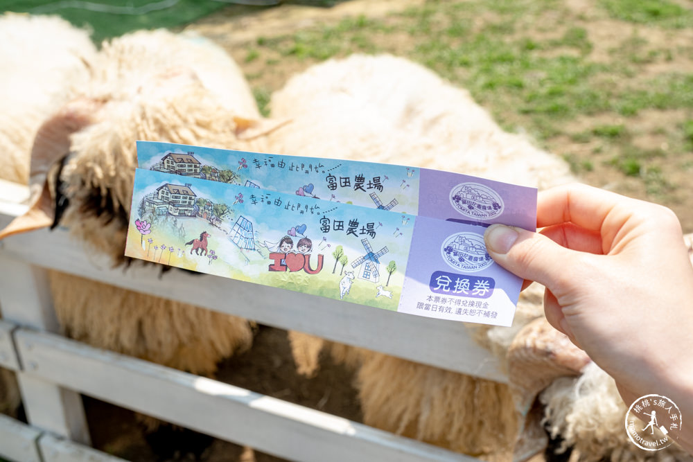 桃園大溪景點|富田花園農場|左擁右抱羊駝.笑笑羊 零距離貼貼可愛動物(營業時間.交通停車.門票資訊)