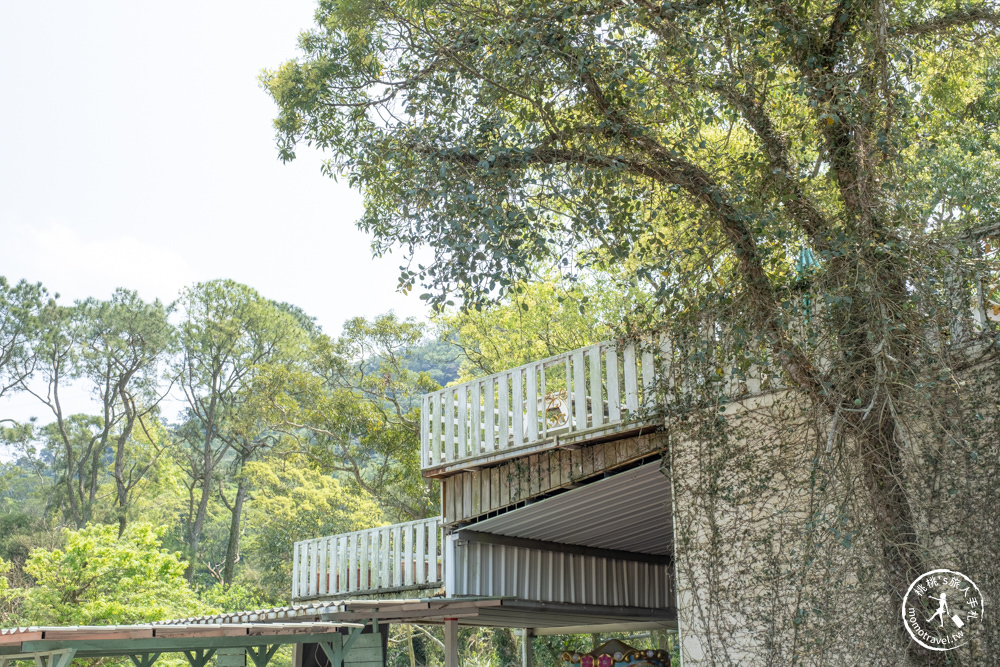 桃園大溪景點|富田花園農場|左擁右抱羊駝.笑笑羊 零距離貼貼可愛動物(營業時間.交通停車.門票資訊)