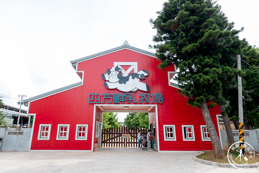 苗栗竹南景點》四方鮮乳牧場│餵小牛.玩滑草.野餐.烤肉.露營 可愛乳牛的家