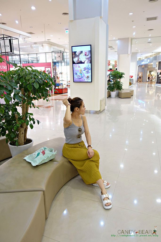 DSC07555 2