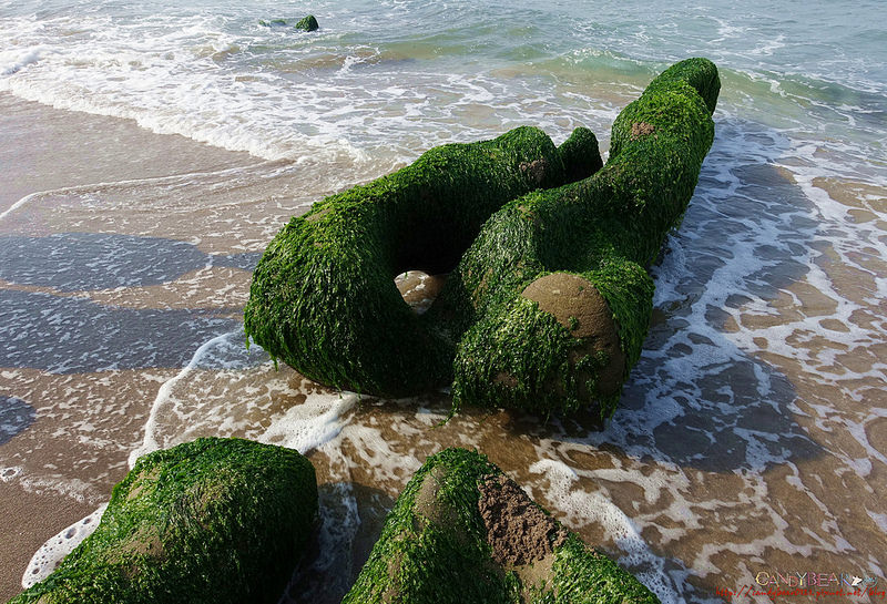 67